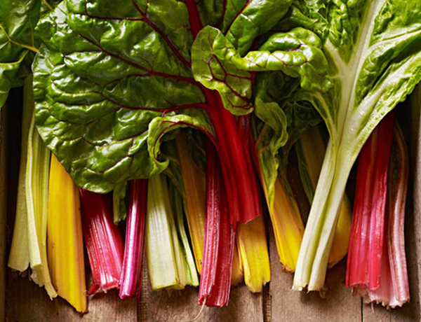 Swiss-Chard