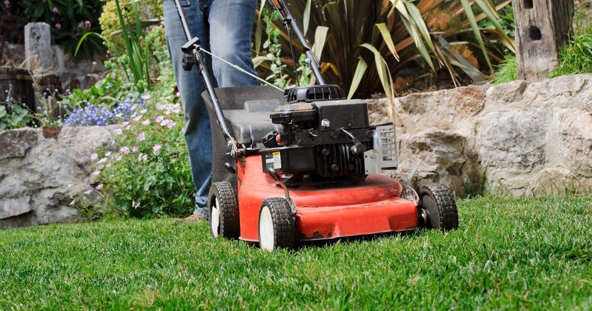 Tips For Improving The Lawn And Reducing Maintenance