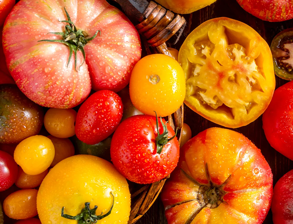 Tomato