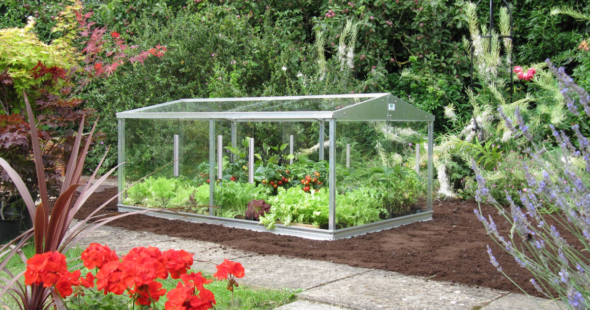 Using Cold Frames In The Garden: Learn How To Use A Cold Frame