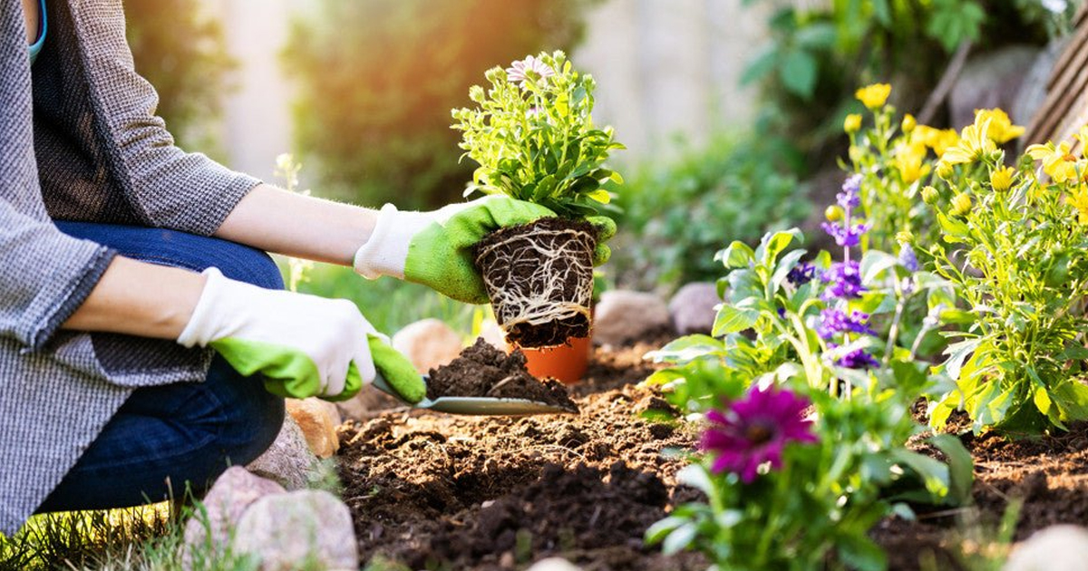 Weed It and Reap: How To Weed Your Garden Naturally
