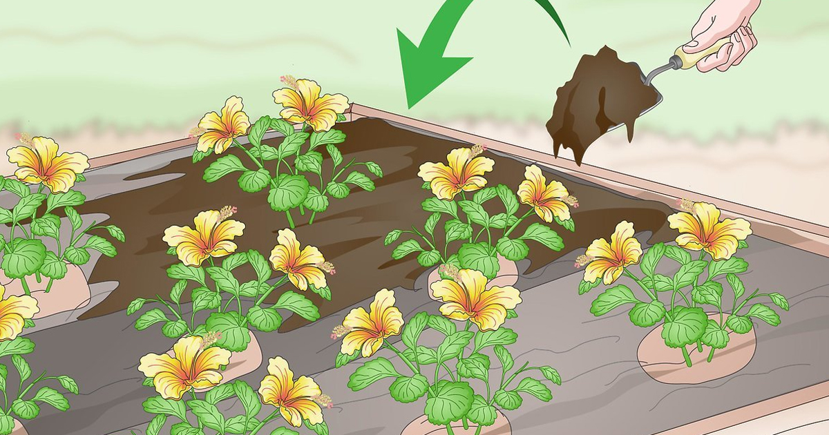 What Is A Weed Barrier: Tips On How To Use Weed Barrier In The Garden