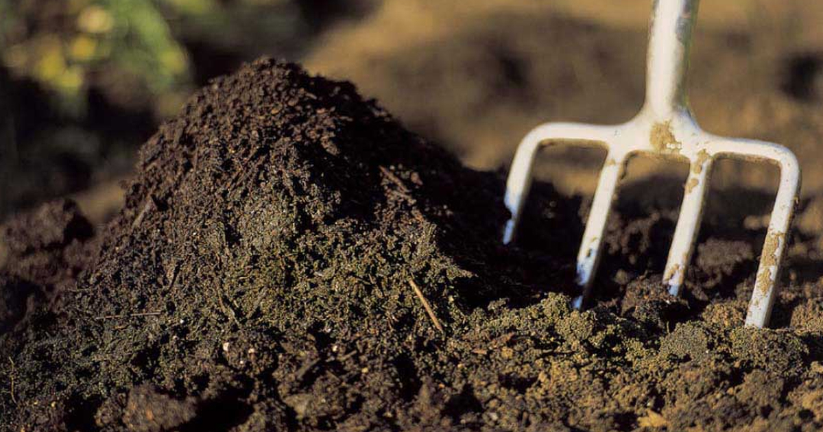 What Is Soil Made Of?