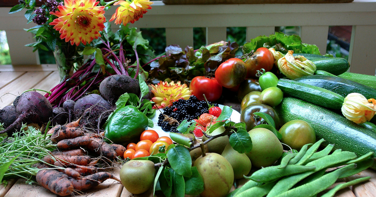 Best Vegetables To Grow In The Pacific Northwest