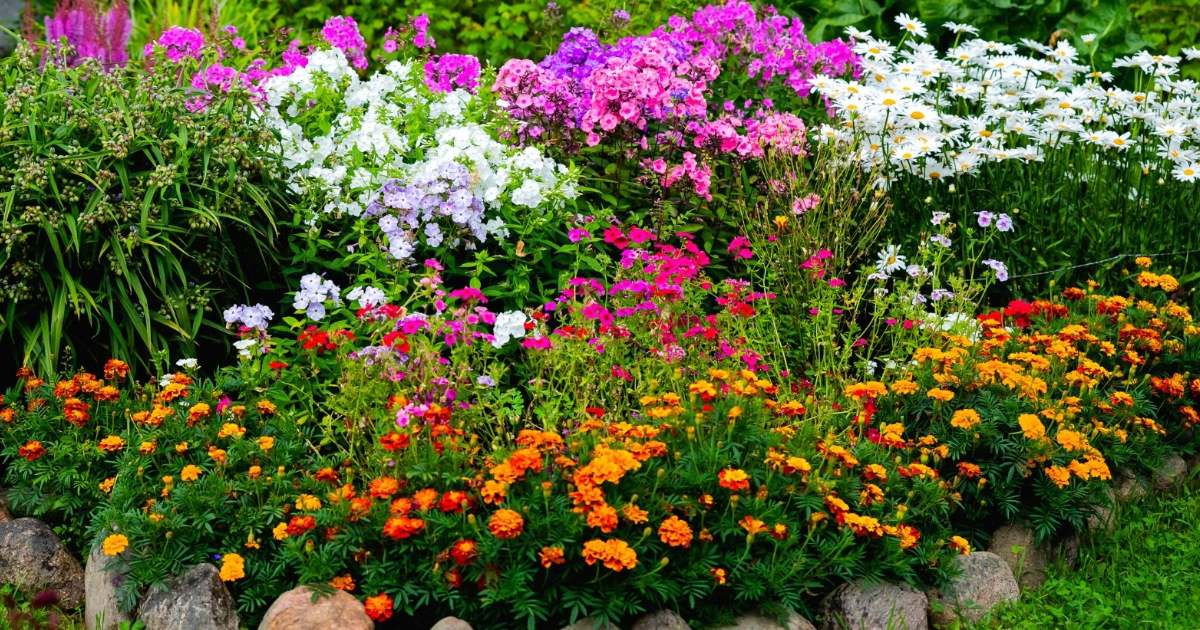 8 Native Shade Plants To Brighten Up Your Garden