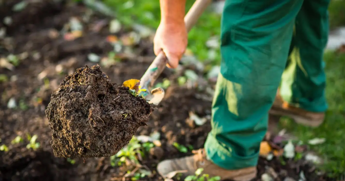 Checking Soil Drainage: Tips For Making Sure Soil Drains Well