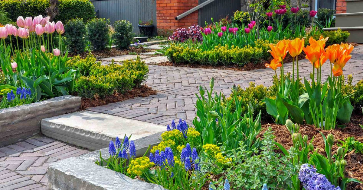 Garden Makeover Dos and Don’ts – Expert Tips To Guide Your Redesign