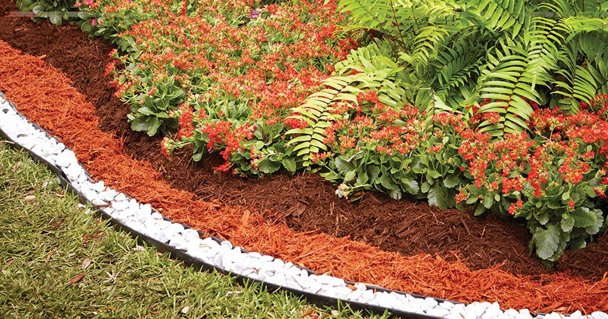 Dyed Mulch In The Garden