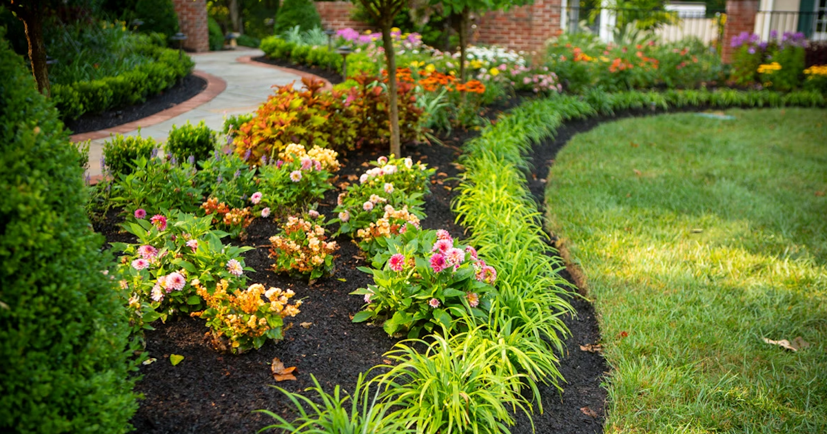 How The Unexpected Red Theory Can Enrich Your Garden Design