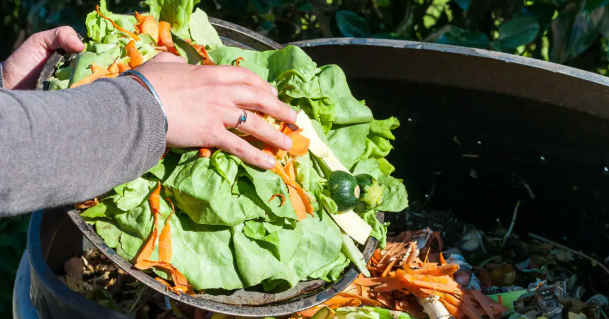 How To Compost At Home: The Ultimate Step-By-Step Guide