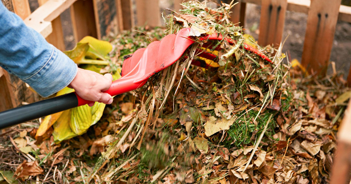 How To Start A Compost Bin Or Pile In Your Backyard