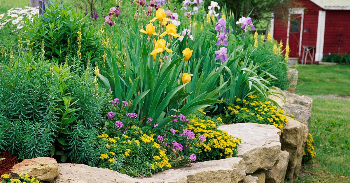 How To Start A Flower Bed