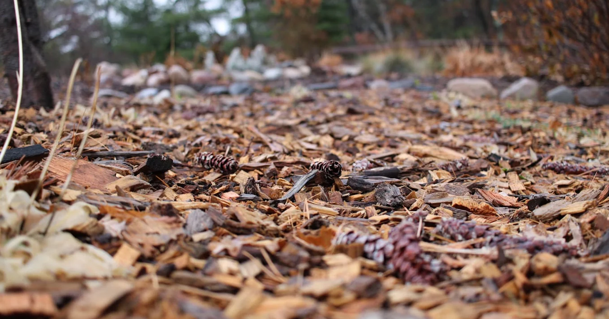 Mulching Mistakes To Avoid