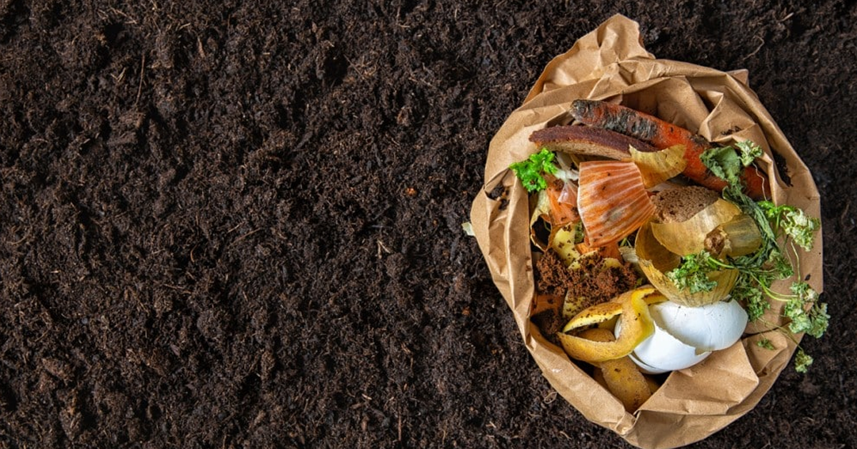 Urban Composting Guide: How To Compost In The Middle Of The City