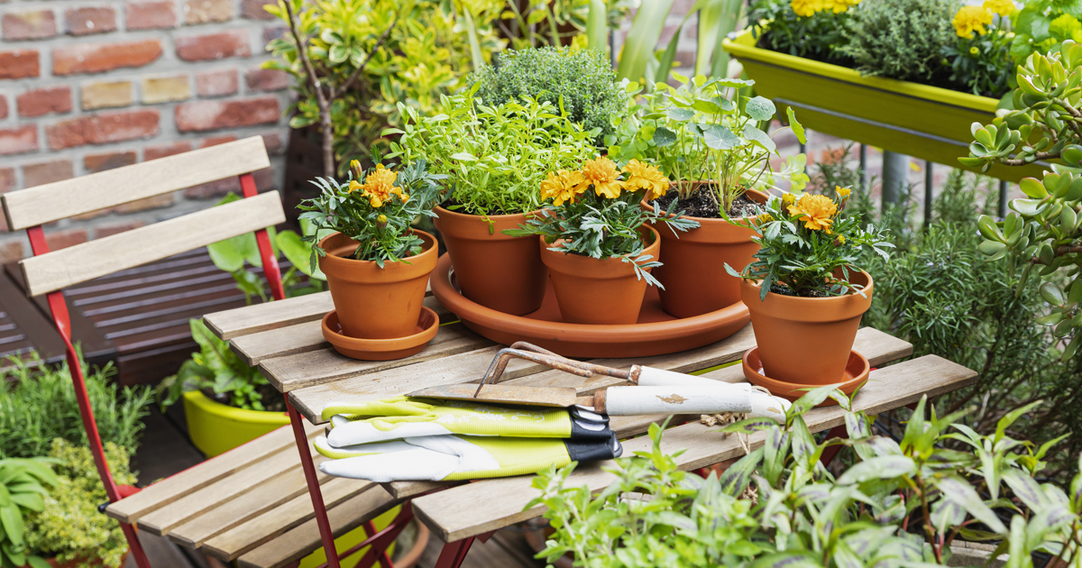Winter Composting Shortcuts: 5 Easy Ways To Fill Garden Beds And Pots In Time For Spring