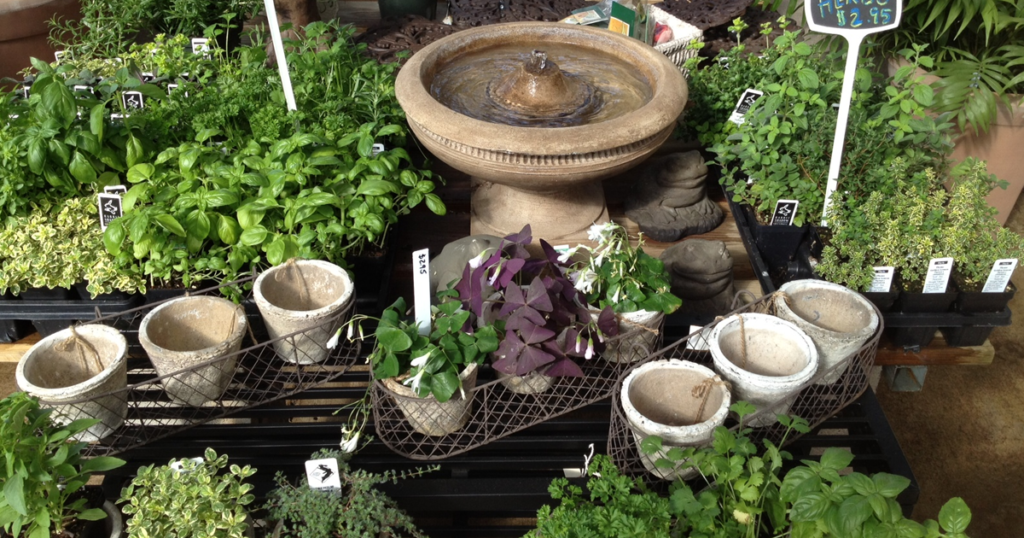 Creekside Gardening: Techniques and Tips