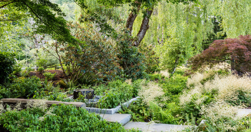 Gardening Creekside: Embracing Nature's Rhythms