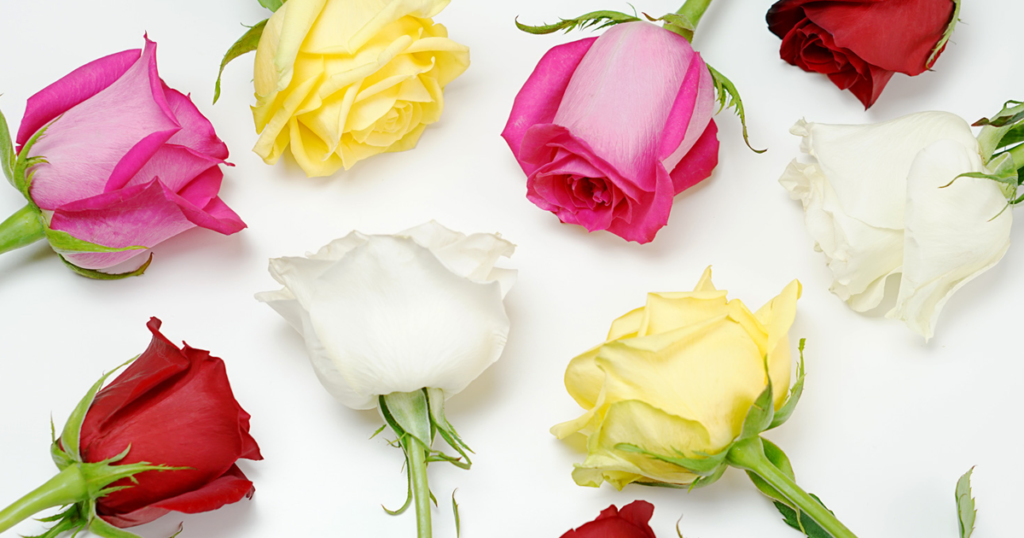 How Long Can Different Types of Flowers Survive Without Water