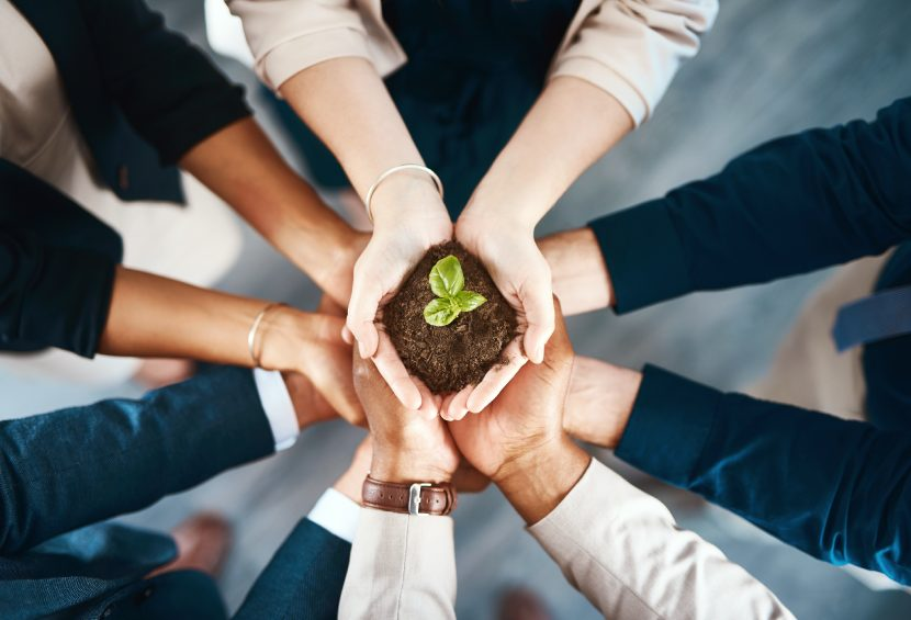 Sustainability and Environmental Benefits